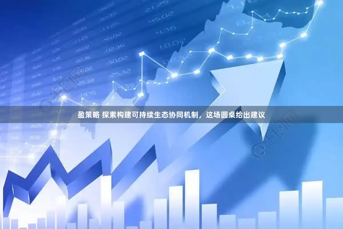 盈策略 探索构建可持续生态协同机制，这场圆桌给出建议