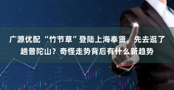 广源优配 “竹节草”登陆上海奉贤，先去逛了趟普陀山？奇怪走势背后有什么新趋势